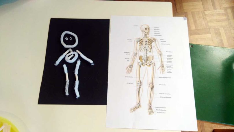Projeto Meu Corpo - Projekt Mein Körper